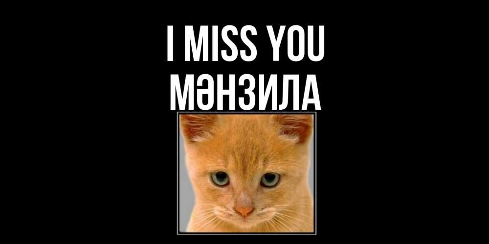 Greetings card с именем, МӘНЗИЛА I miss you открытки рыжий котенок скучает по тебе Greetings with text for free download 
