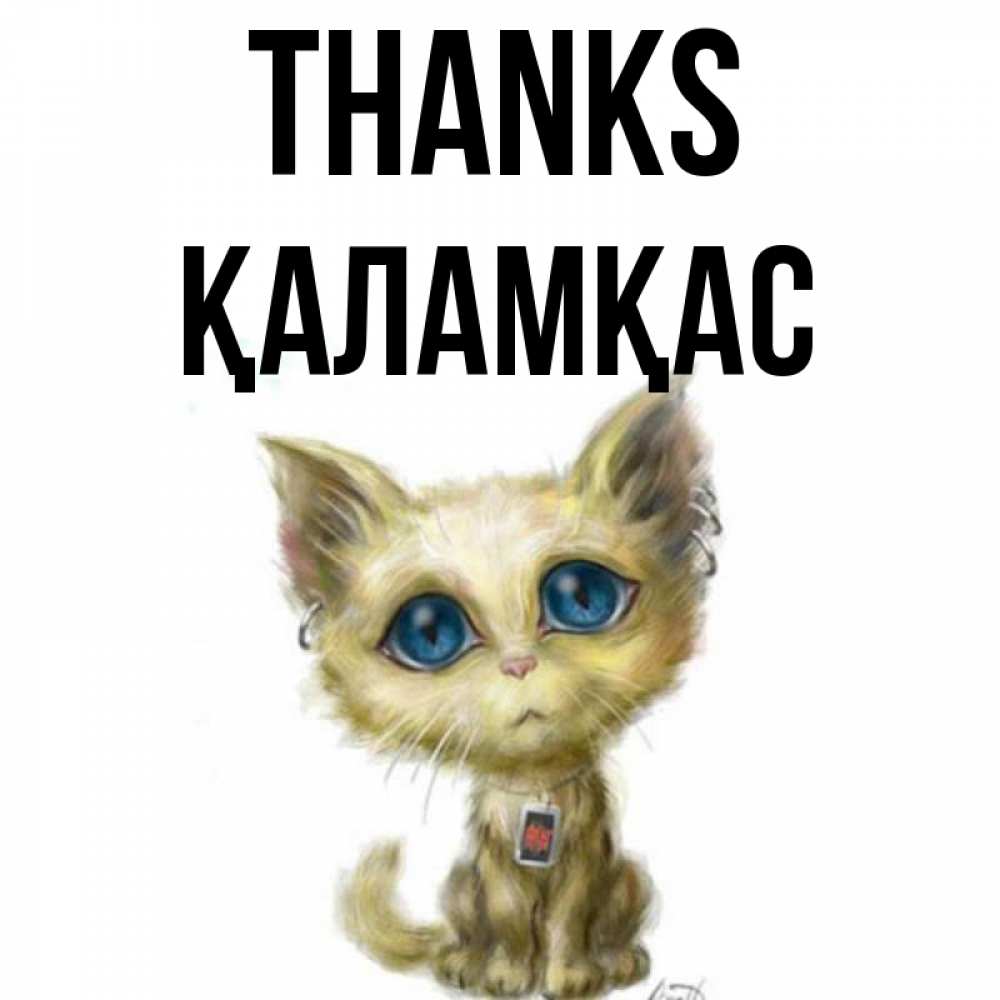 Greetings card с именем, ҚАЛАМҚАС Thanks рисованный кот благодарит вас Greetings with text for free download 