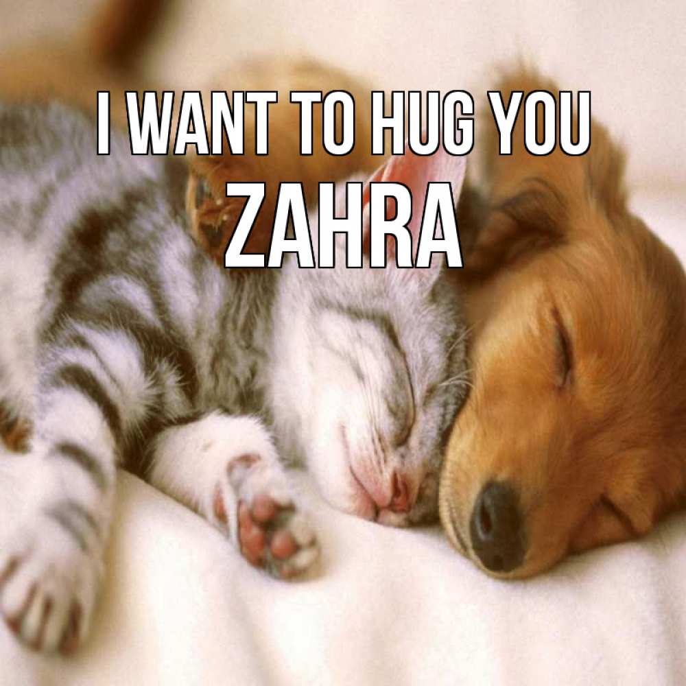Greetings card с именем, Zahra I want to hug you пес и котенок Greetings with text for free download 