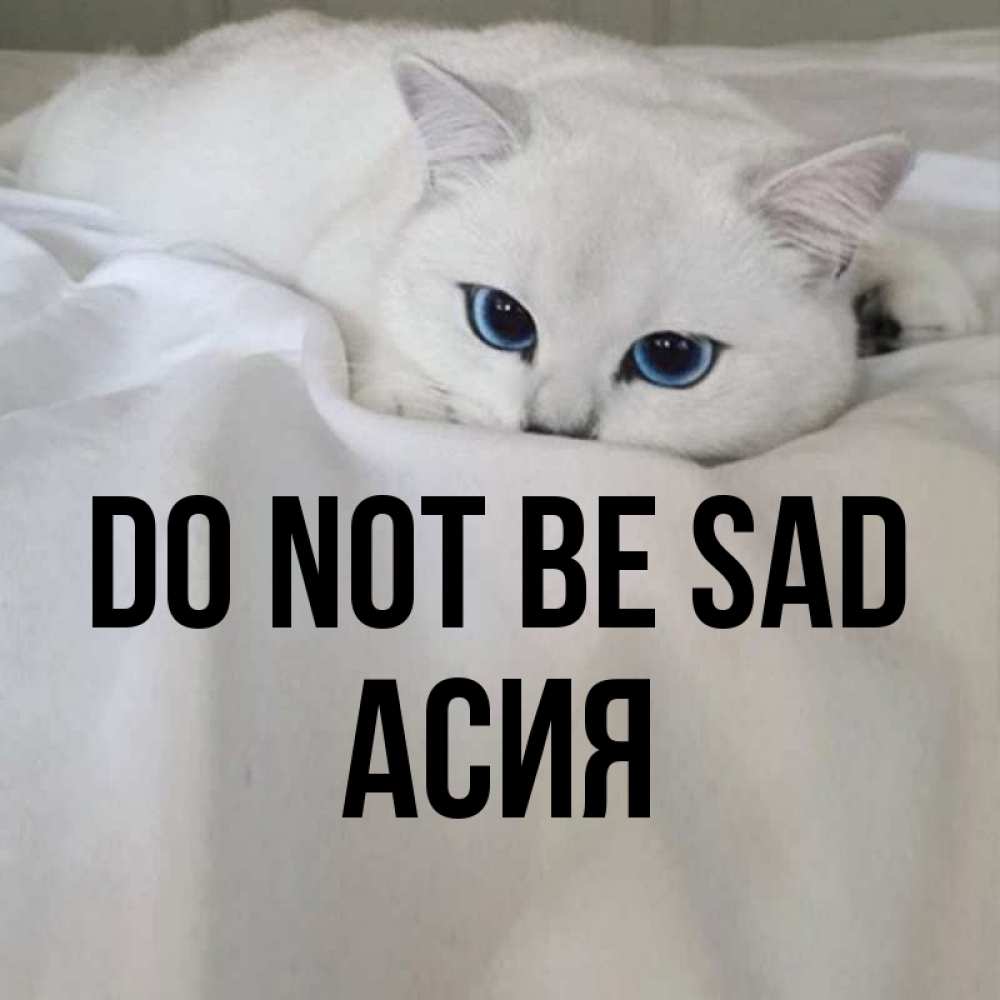 Greetings card с именем, АСИЯ Do not be sad Голубоглазая кошка Greetings with text for free download 