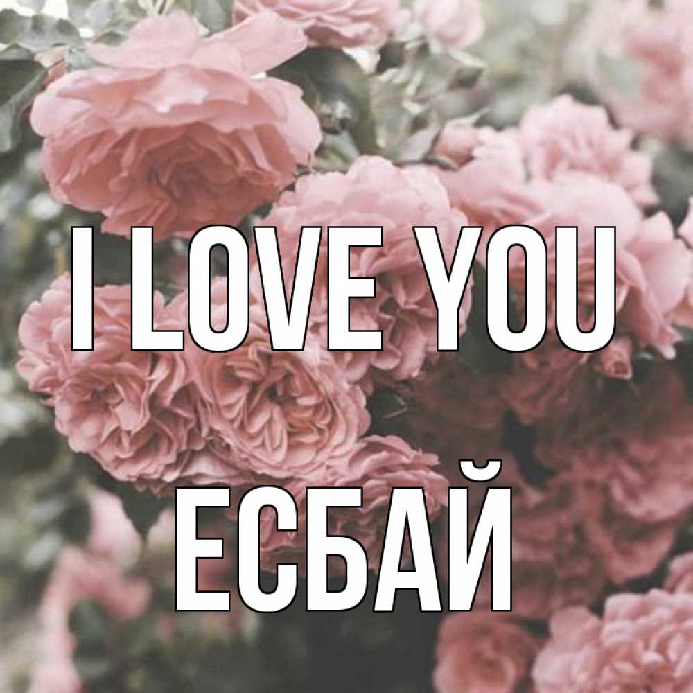 Greetings card с именем, Есбай I love you розы 3 Greetings with text for free download 