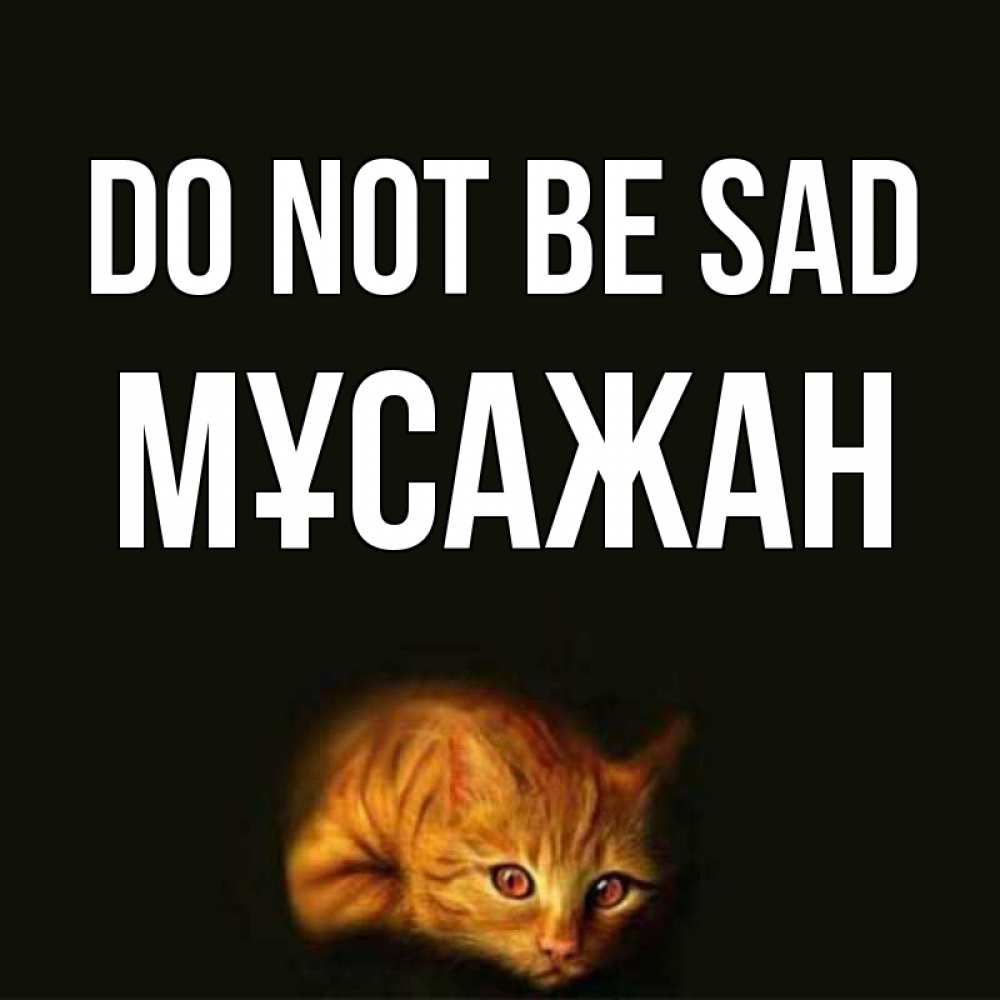 Greetings card с именем, Мұсажан Do not be sad лежащий кот в темноте Greetings with text for free download 