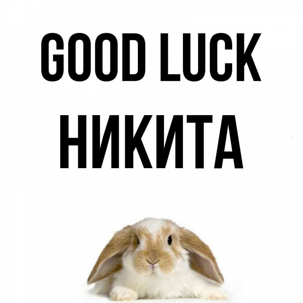 Greetings card с именем, Никита Good luck открытки с произвольным текстом который можно вставить в открытку и создать ее самостоятельно бесплатно онлайн Greetings with text for free download 