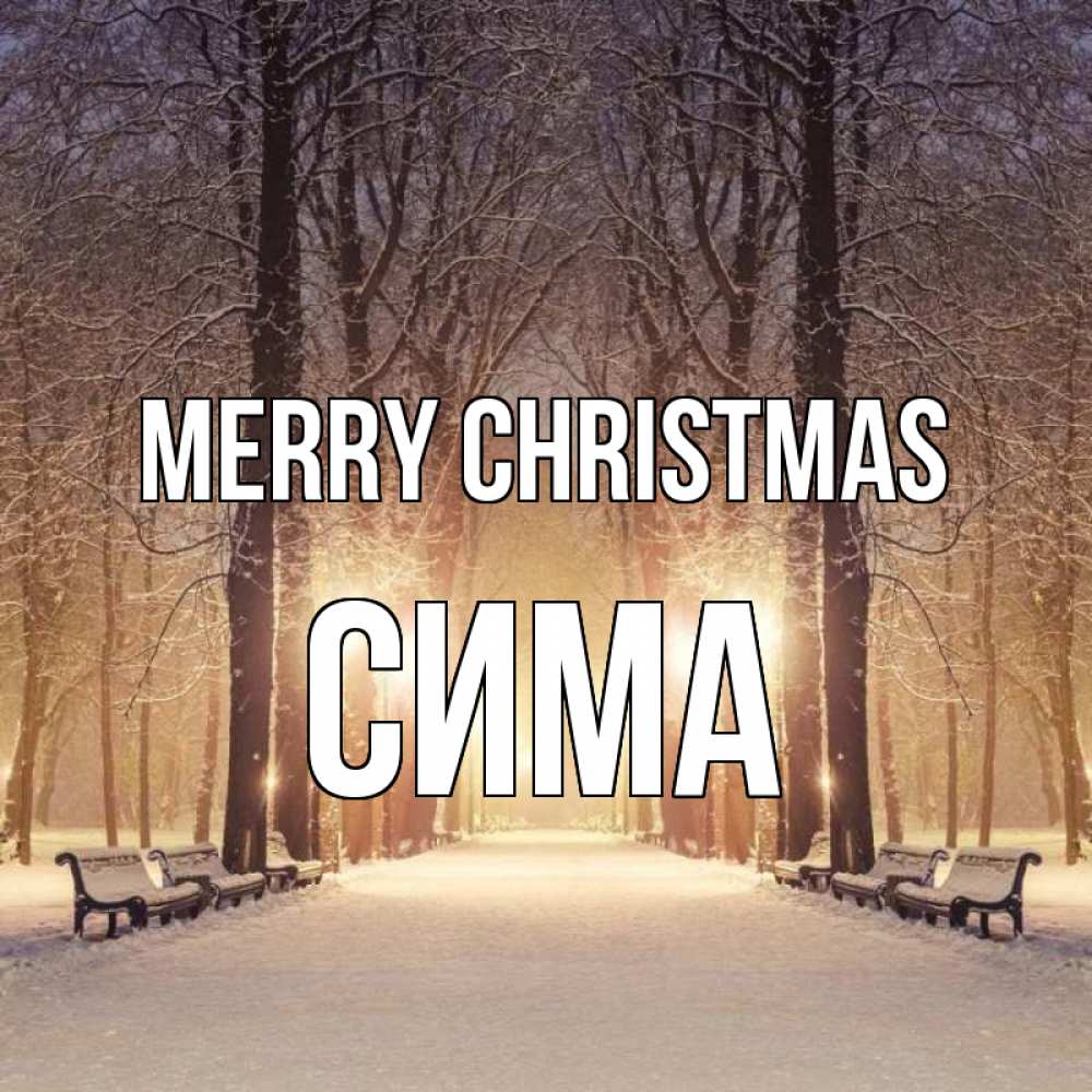 Greetings card с именем, Сима Merry Christmas зима, парк, фонарь, лес Greetings with text for free download 