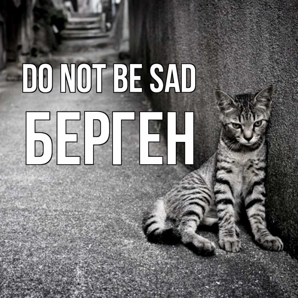 Greetings card с именем, Берген Do not be sad скучающий котик Greetings with text for free download 