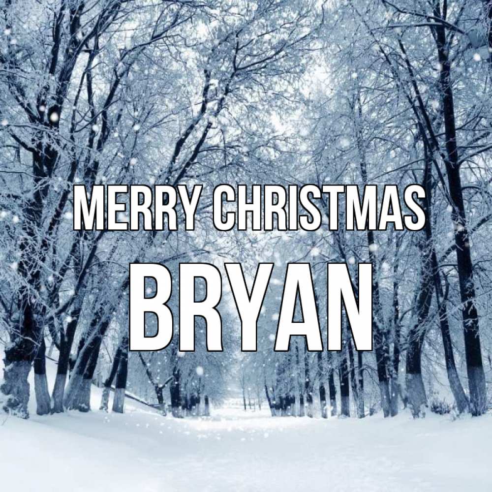 Greetings card с именем, Bryan Merry Christmas снег, лес, парк Greetings with text for free download 