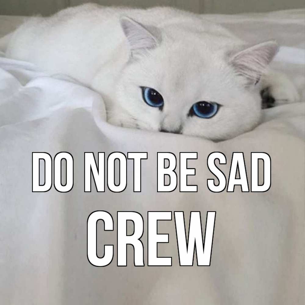 Greetings card с именем, Crew Do not be sad белый кот с голубыми глазами на белоснежной кровати Greetings with text for free download 
