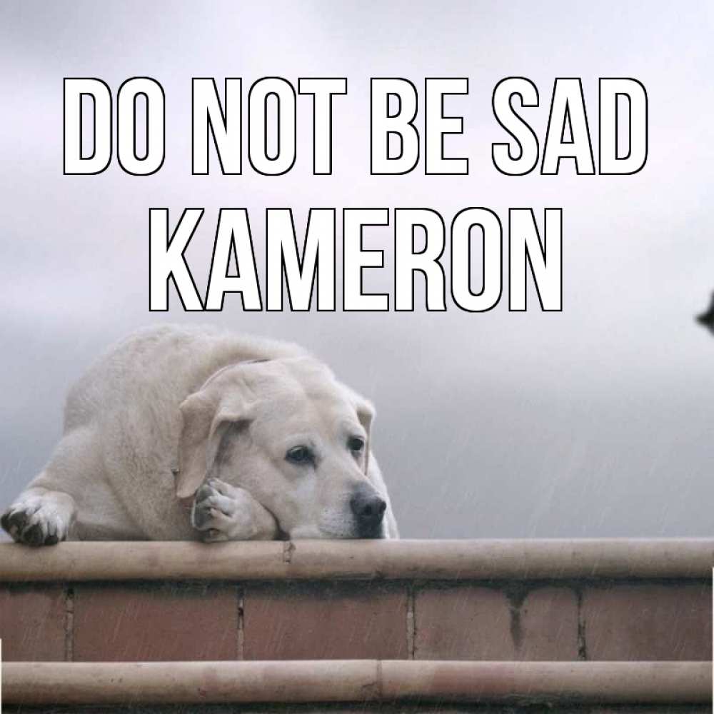 Greetings card с именем, Kameron Do not be sad белый пес 1 Greetings with text for free download 