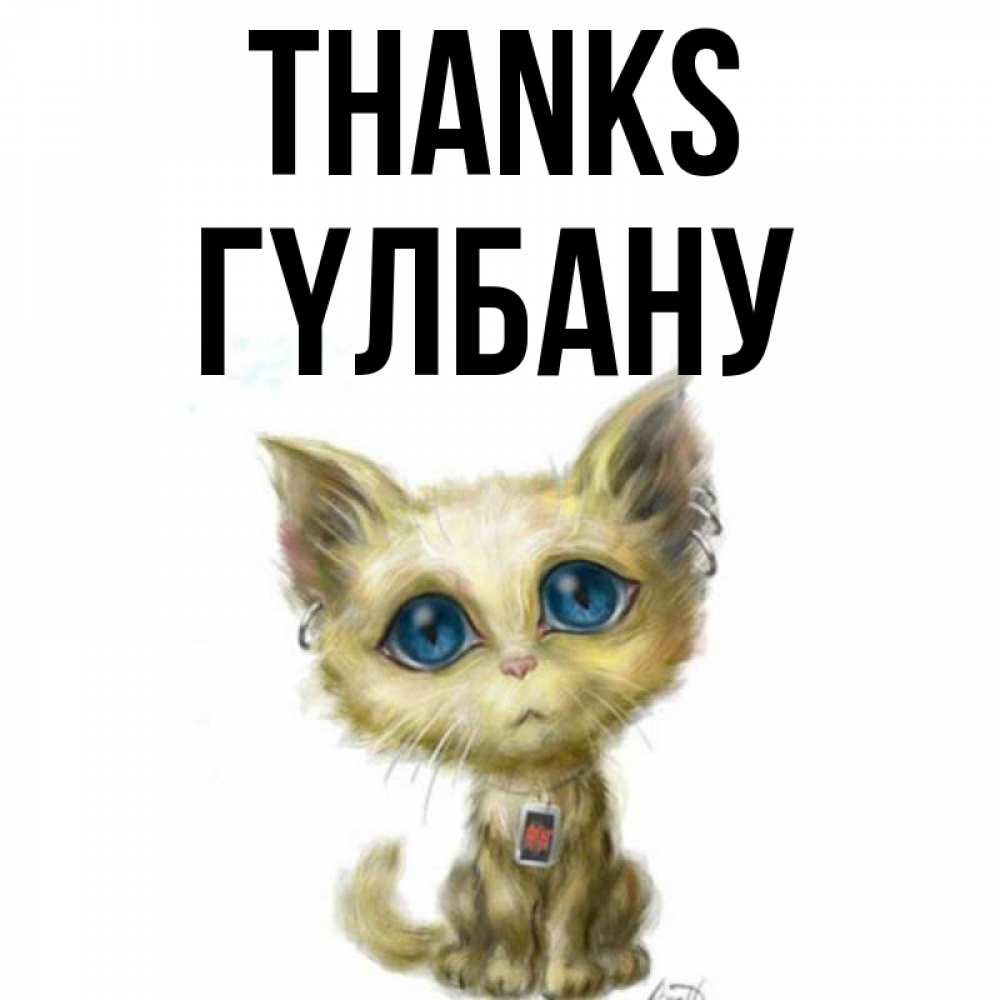 Greetings card с именем, ГҮЛБАНУ Thanks рисованный кот благодарит вас Greetings with text for free download 