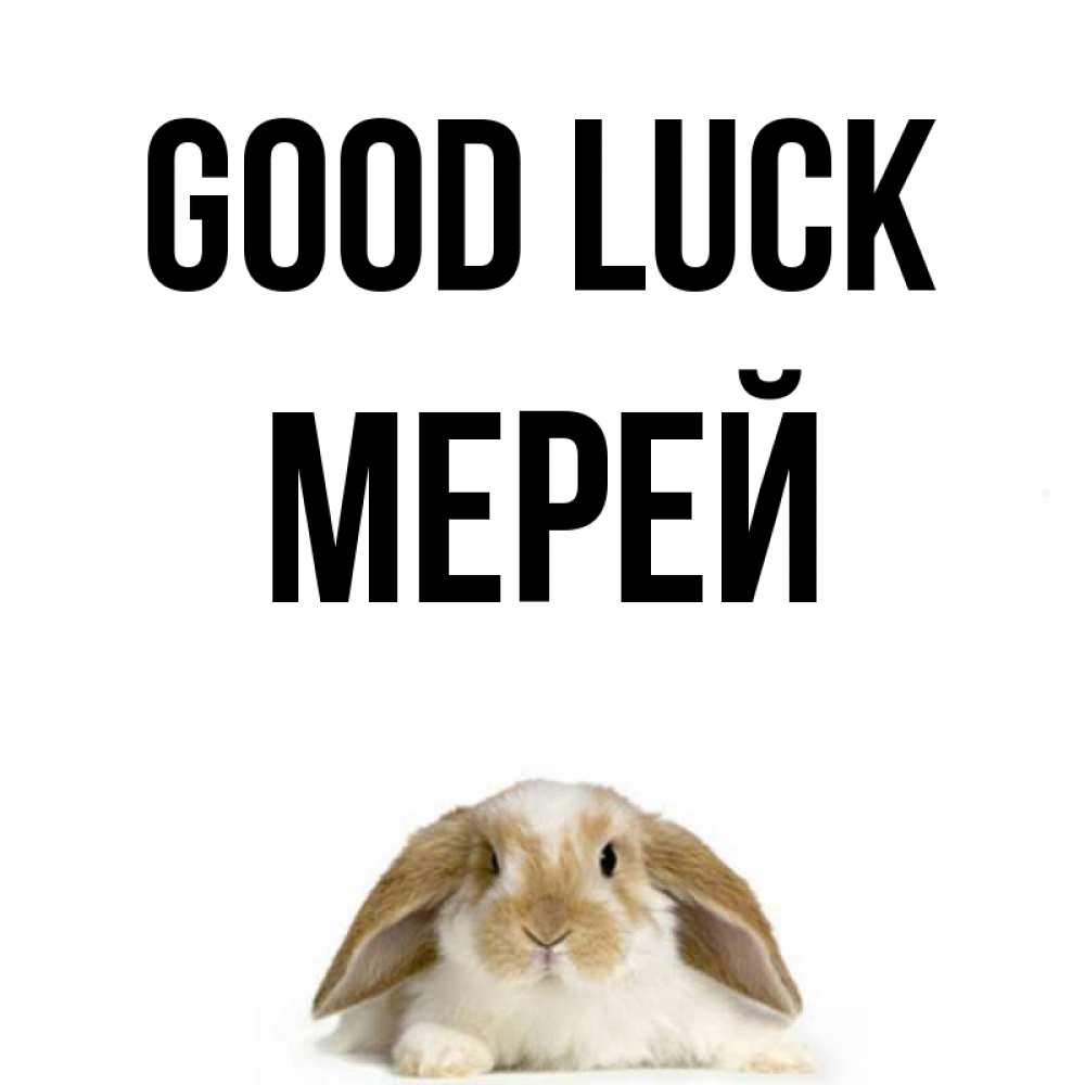Greetings card с именем, МЕРЕЙ Good luck открытки с произвольным текстом который можно вставить в открытку и создать ее самостоятельно бесплатно онлайн Greetings with text for free download 