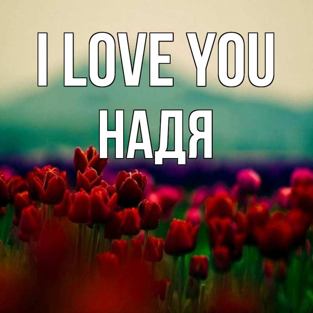 Greetings card с именем, Надя I love you тюльпаны 4 Greetings with text for free download 