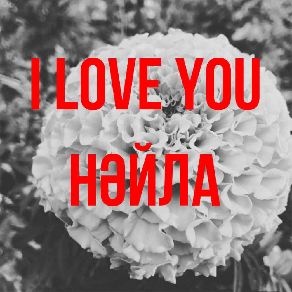 Greetings card с именем, НӘЙЛА I love you подпись Greetings with text for free download 