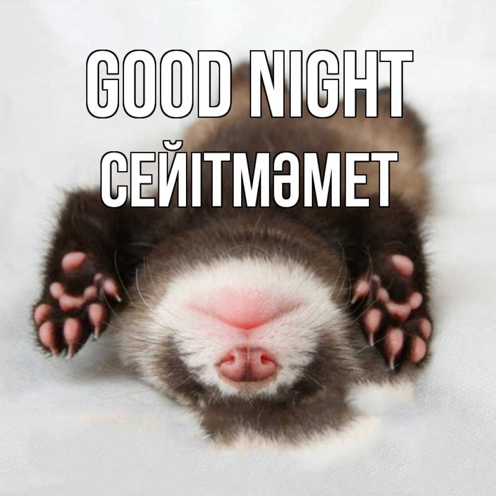 Greetings card с именем, СЕЙІТМӘМЕТ Good night зверек Greetings with text for free download 