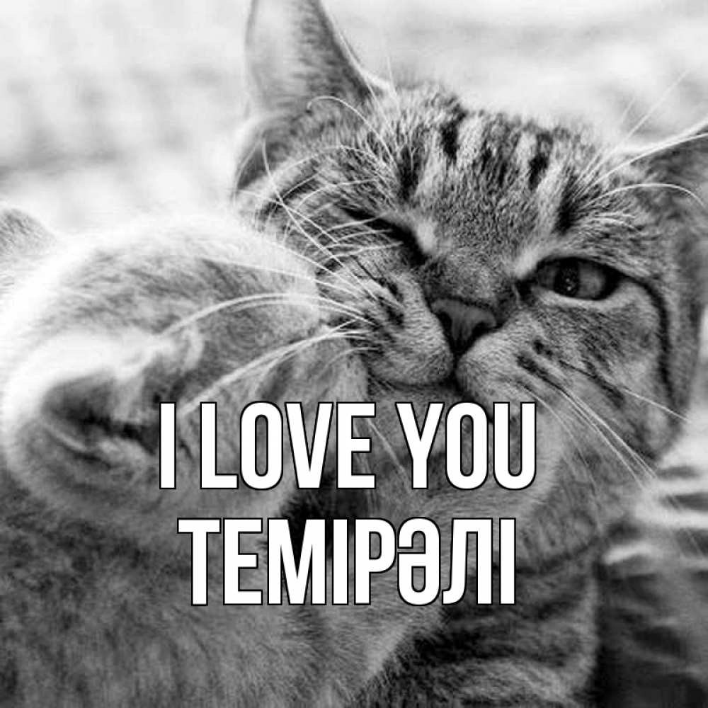 Greetings card с именем, ТЕМІРӘЛІ I love you коты Greetings with text for free download 