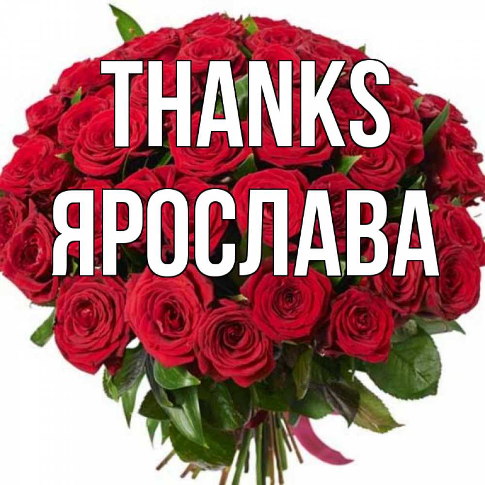 Greetings card с именем, Ярослава Thanks букет красных роз Greetings with text for free download 
