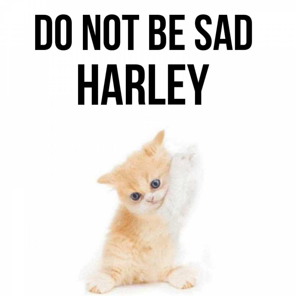 Greetings card с именем, Harley Do not be sad просящий кот Greetings with text for free download 