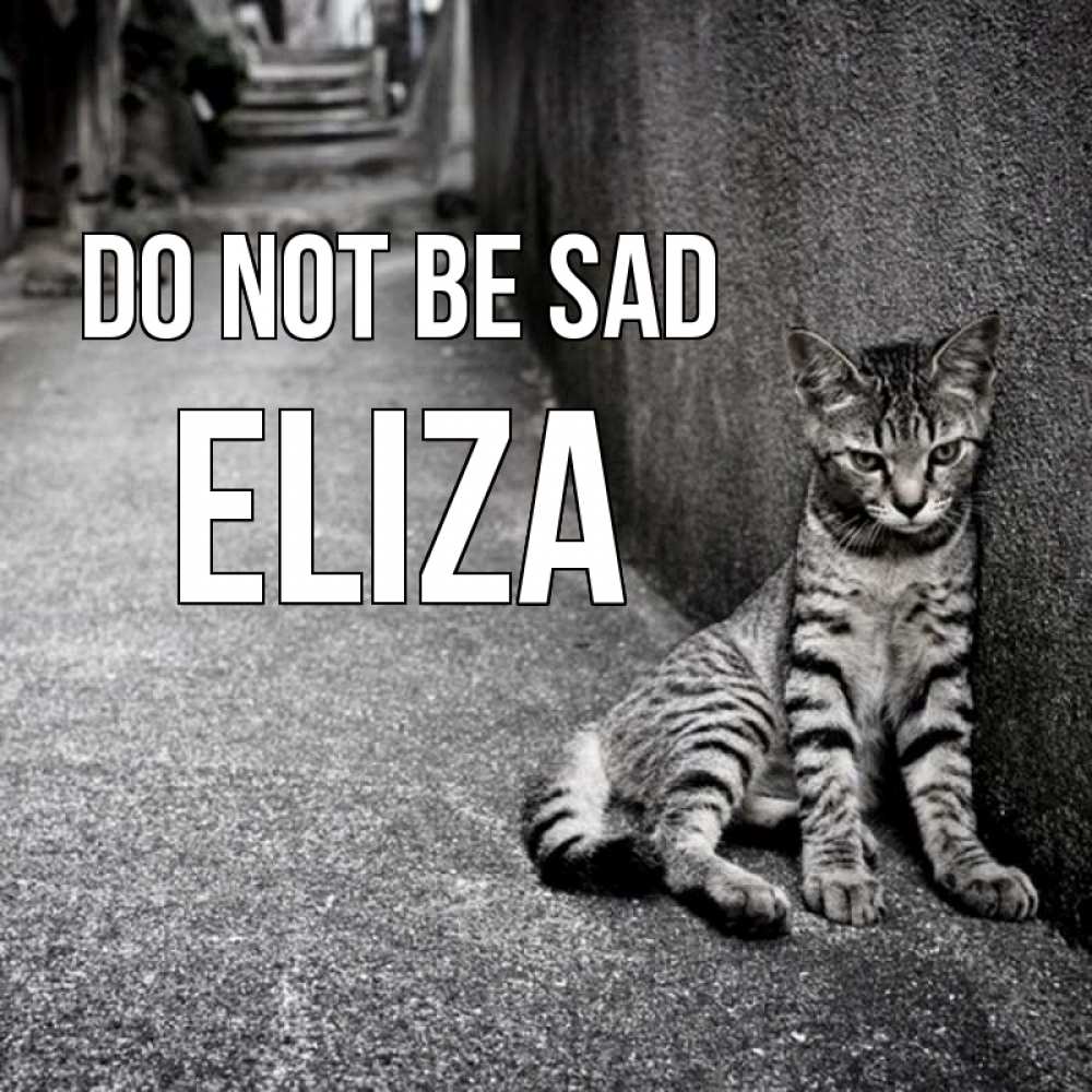 Greetings card с именем, Eliza Do not be sad скучающий котик Greetings with text for free download 