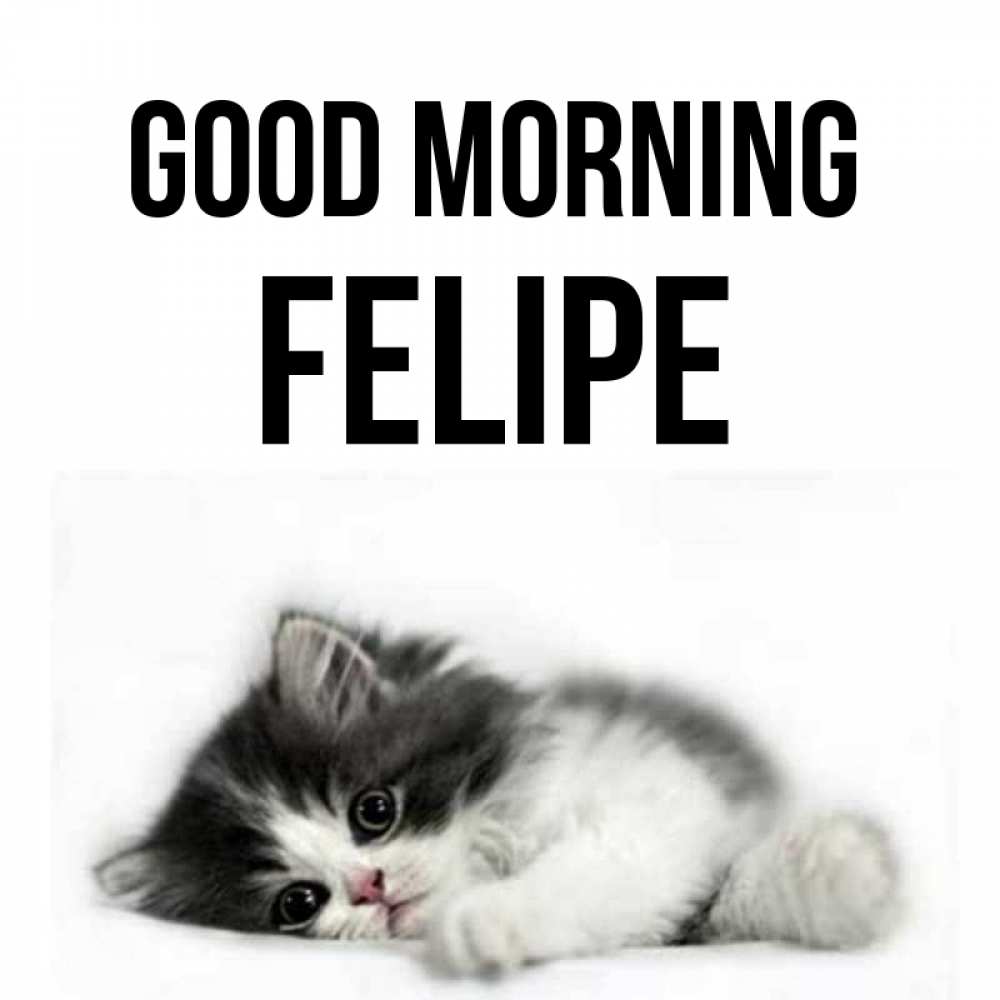 Greetings card с именем, Felipe Good morning кот лапки Greetings with text for free download 