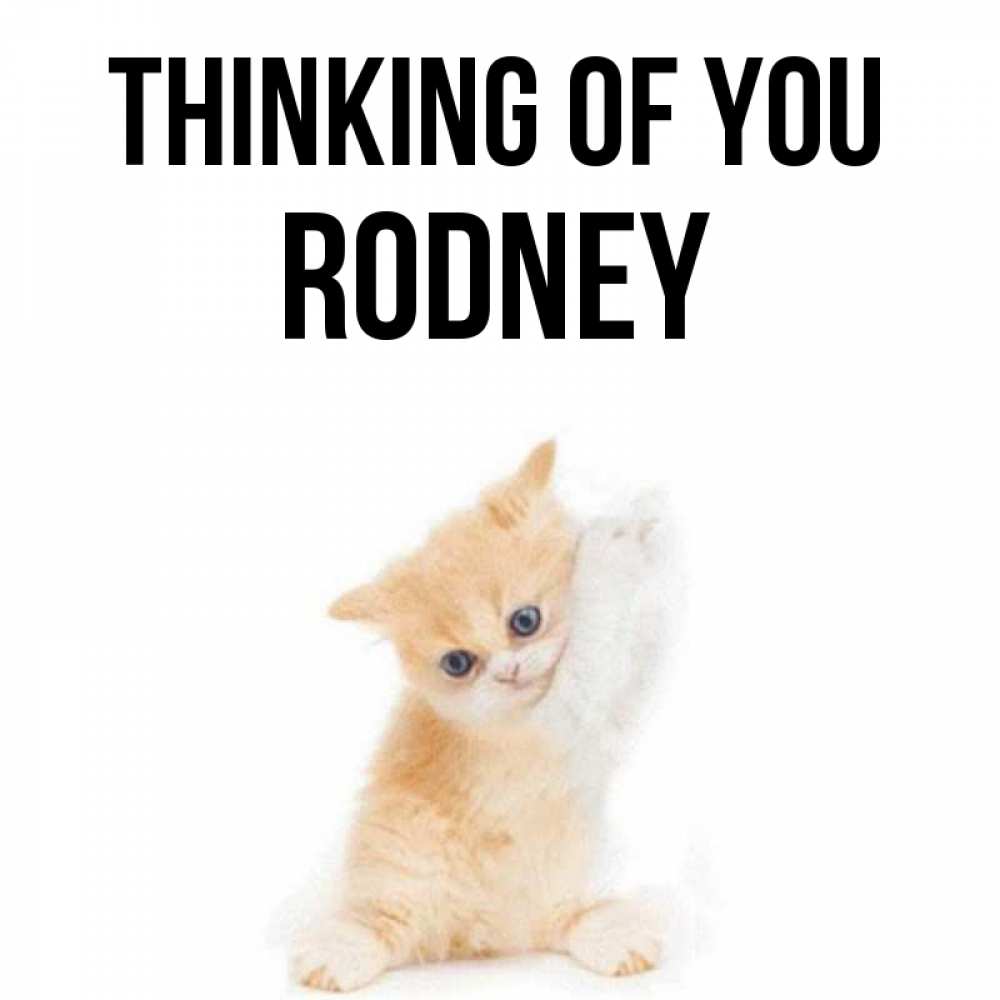 Greetings card с именем, Rodney Thinking of you зверушки и милота Greetings with text for free download 