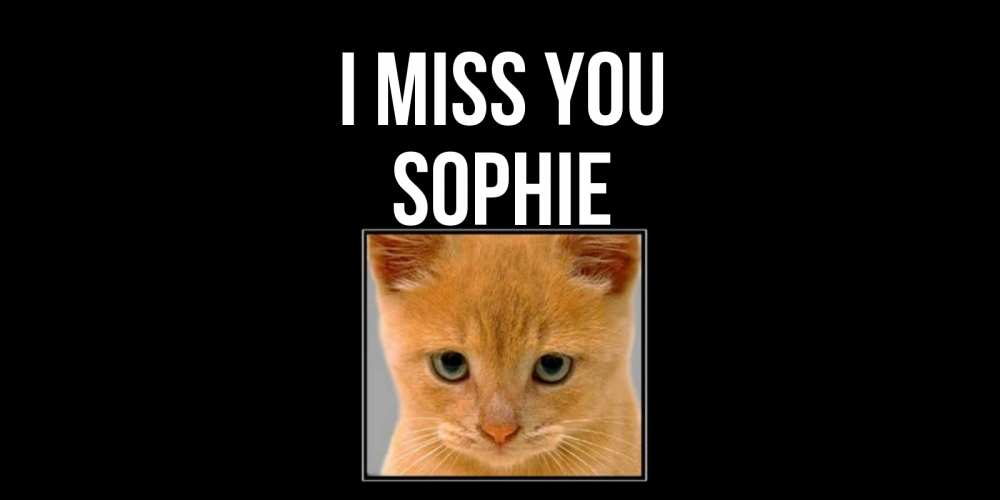 Greetings card с именем, Sophie I miss you открытки рыжий котенок скучает по тебе Greetings with text for free download 