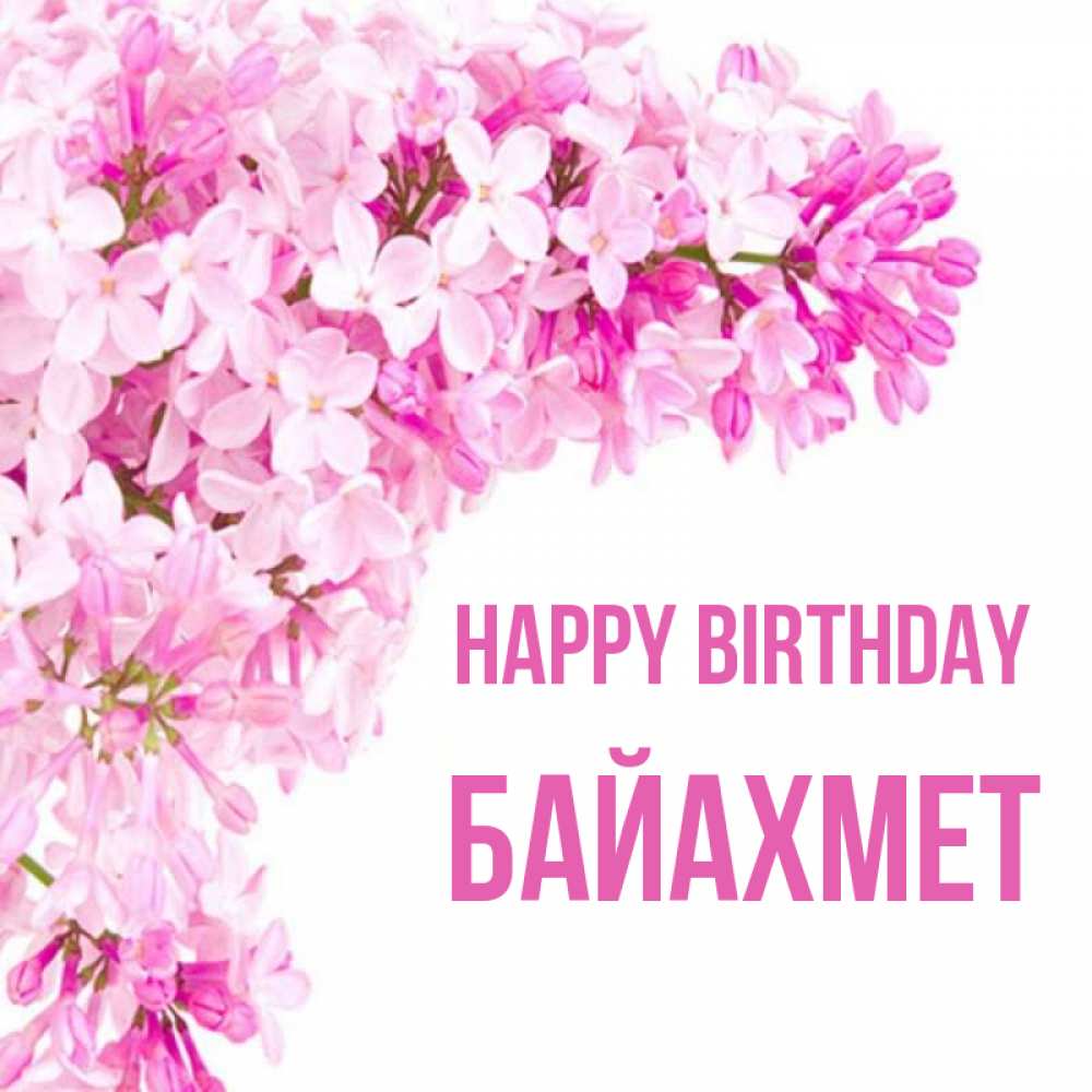 Greetings card с именем, Байахмет Happy Birthday Сирень на белом фоне Greetings with text for free download 