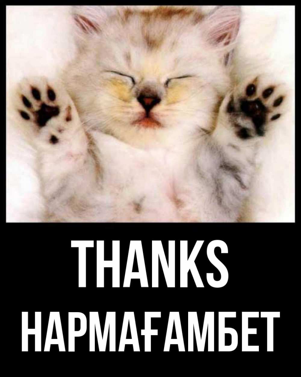 Greetings card с именем, НАРМАҒАМБЕТ Thanks маленький котенок Greetings with text for free download 