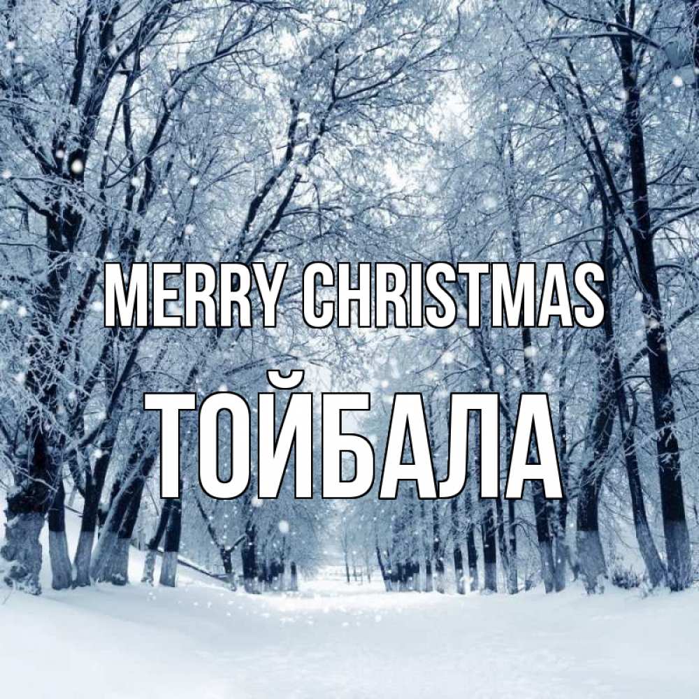 Greetings card с именем, ТОЙБАЛА Merry Christmas снег, лес, парк Greetings with text for free download 
