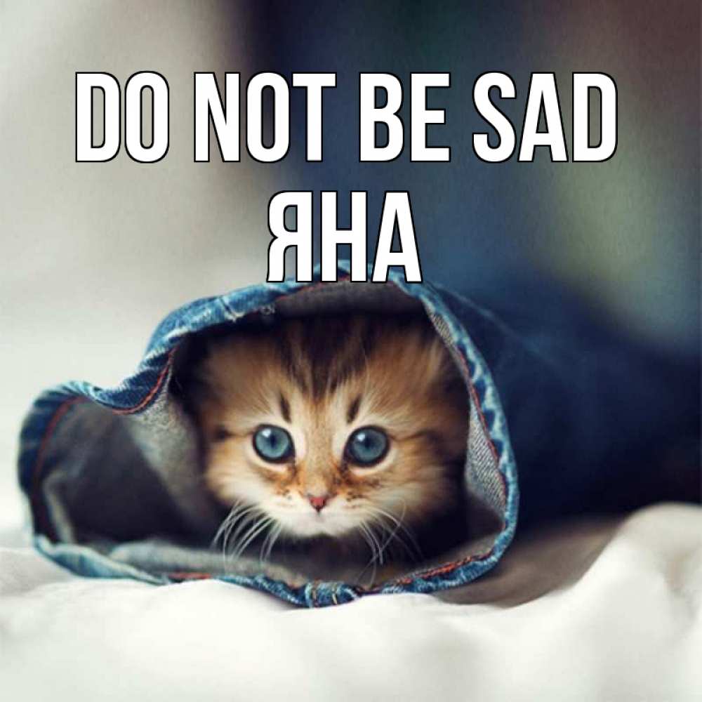 Greetings card с именем, Яна Do not be sad кот в одежде Greetings with text for free download 