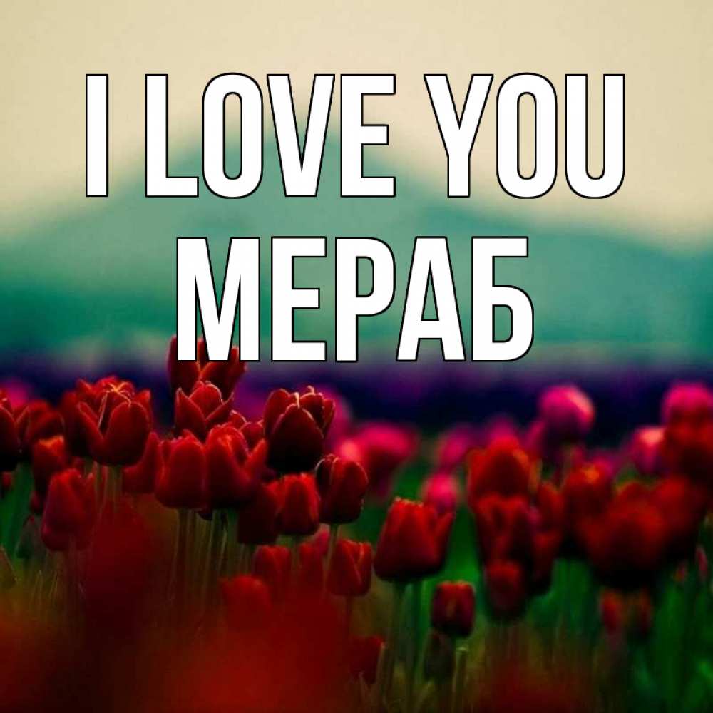 Greetings card с именем, Мераб I love you тюльпаны 4 Greetings with text for free download 