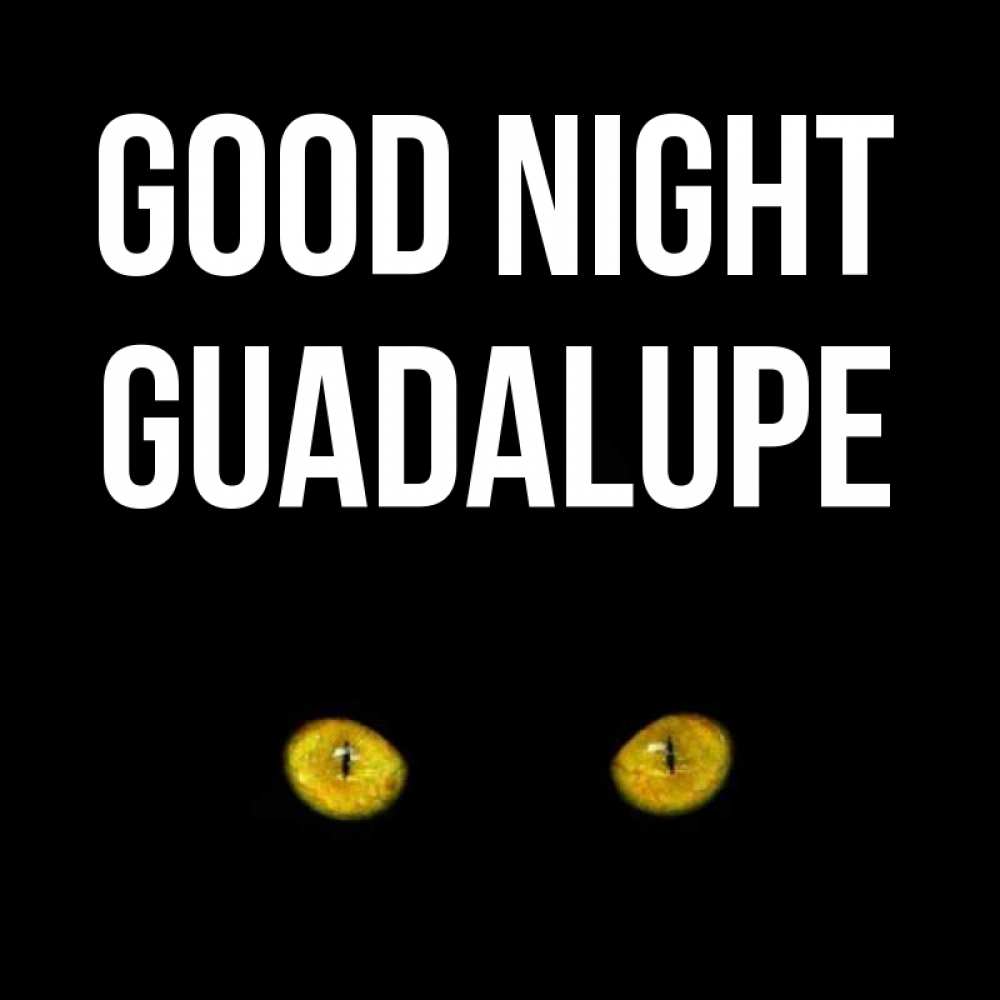 Greetings card с именем, Guadalupe Good night сладких снов бесстрашный мой дружочек Greetings with text for free download 