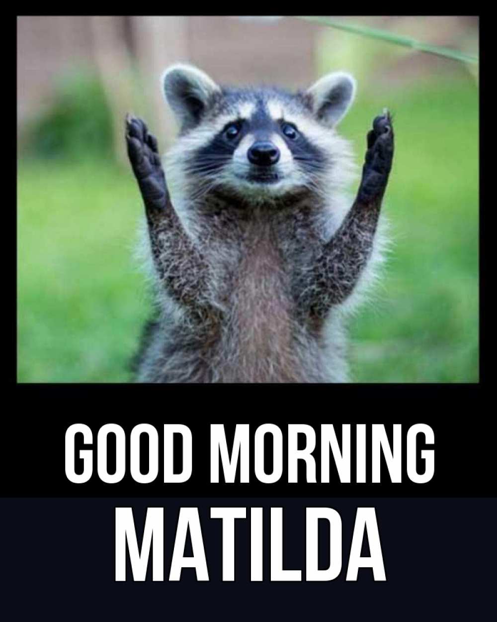 Greetings card с именем, Matilda Good morning хорошее настроение утречком Greetings with text for free download 
