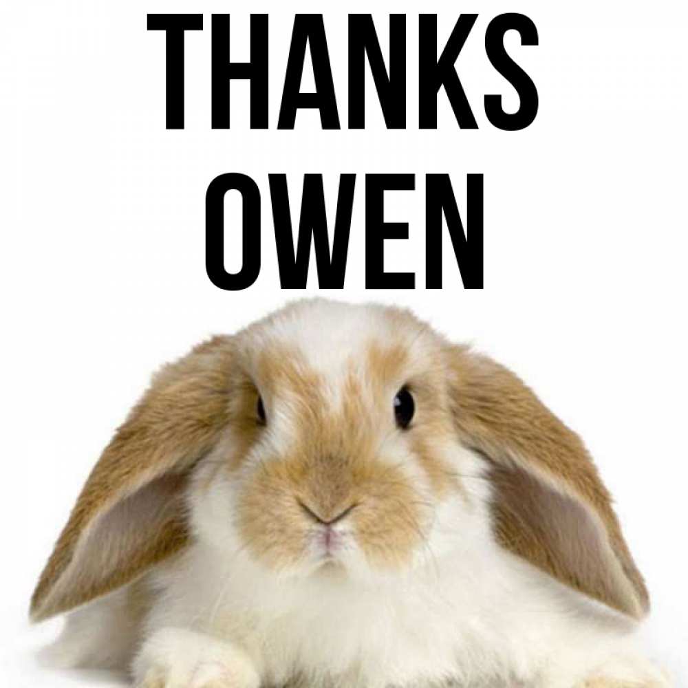 Greetings card с именем, Owen Thanks коричнево белый заяц Greetings with text for free download 