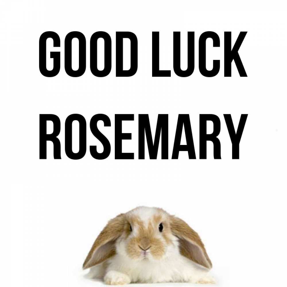 Greetings card с именем, Rosemary Good luck открытки с произвольным текстом который можно вставить в открытку и создать ее самостоятельно бесплатно онлайн Greetings with text for free download 