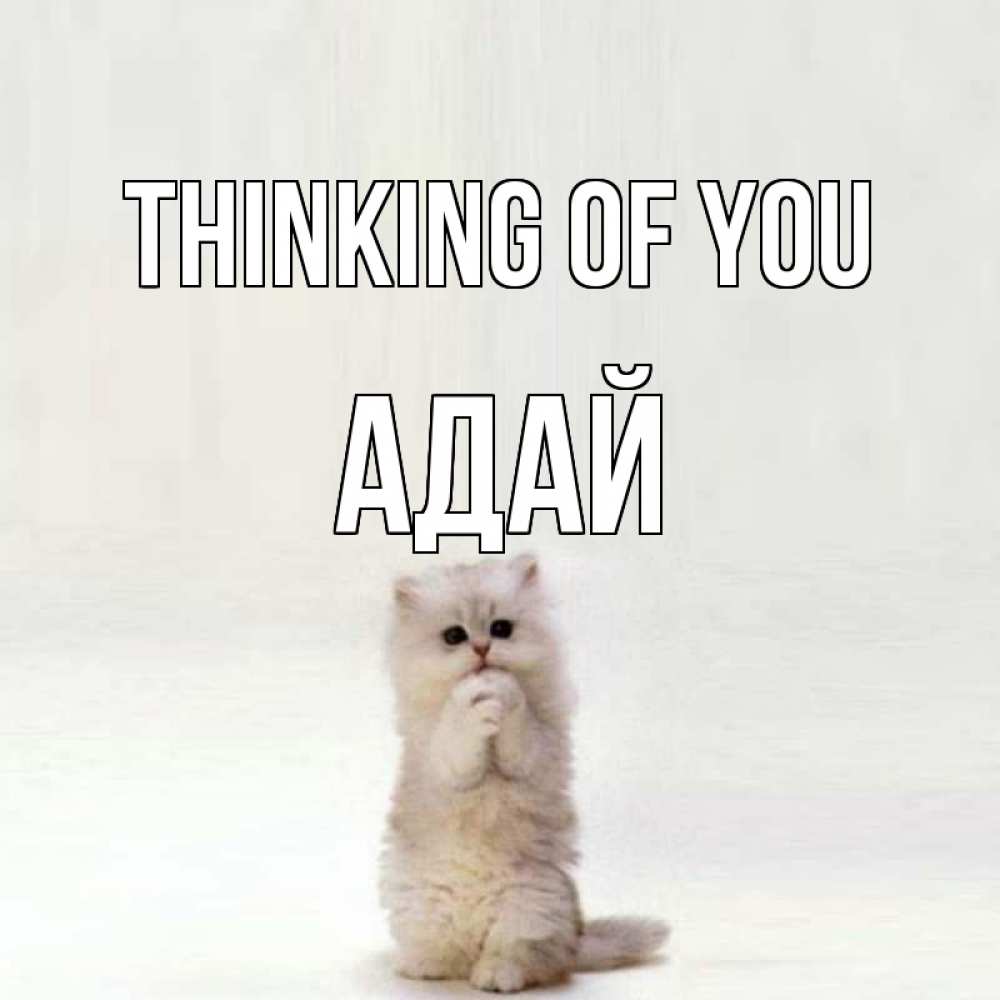 Greetings card с именем, Адай Thinking of you кот стоит на задних лапах Greetings with text for free download 