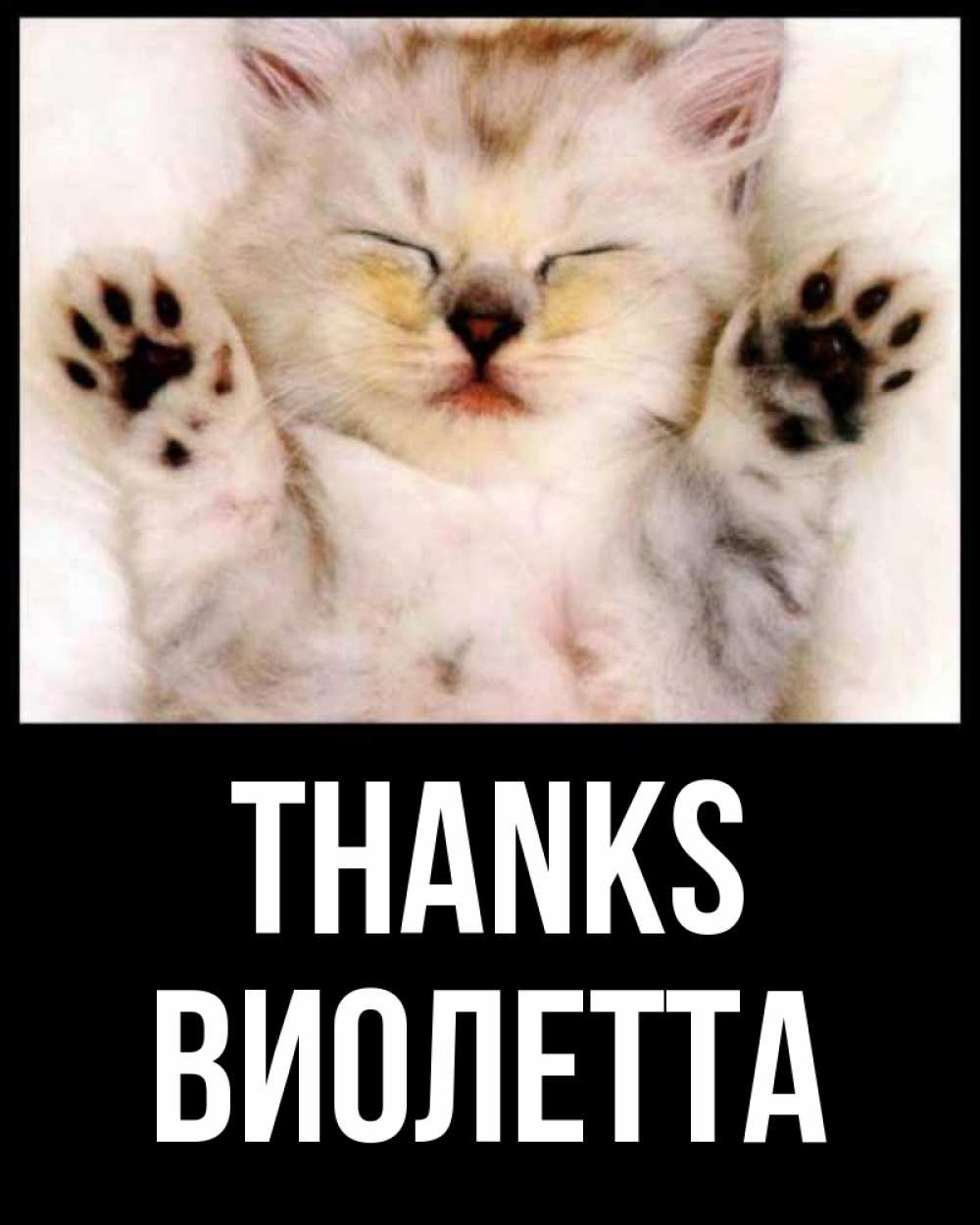 Greetings card с именем, Виолетта Thanks маленький котенок Greetings with text for free download 