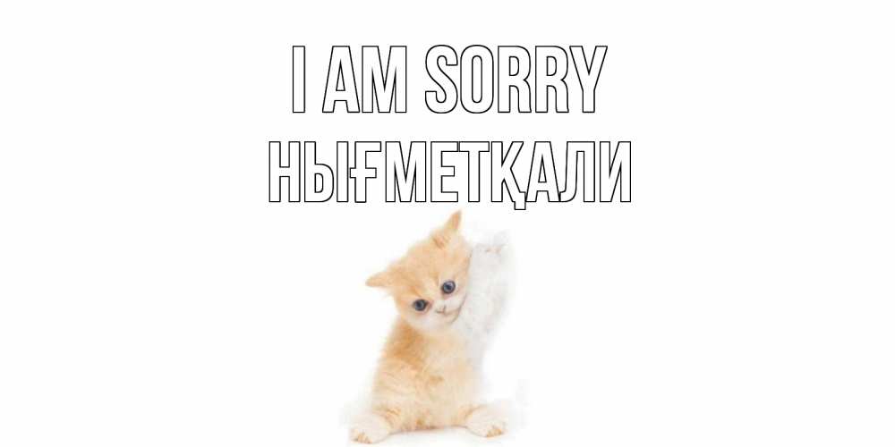 Greetings card с именем, НЫҒМЕТҚАЛИ I am sorry кот Greetings with text for free download 
