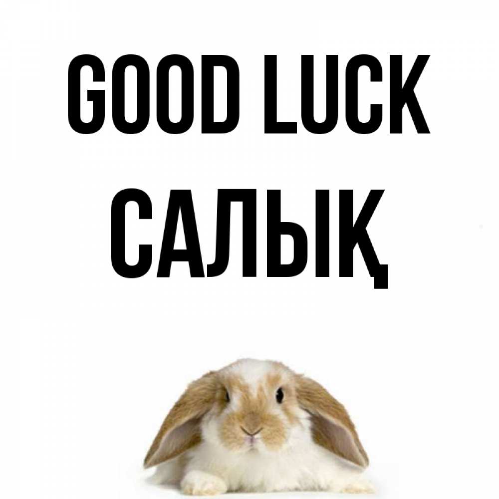 Greetings card с именем, САЛЫҚ Good luck открытки с произвольным текстом который можно вставить в открытку и создать ее самостоятельно бесплатно онлайн Greetings with text for free download 