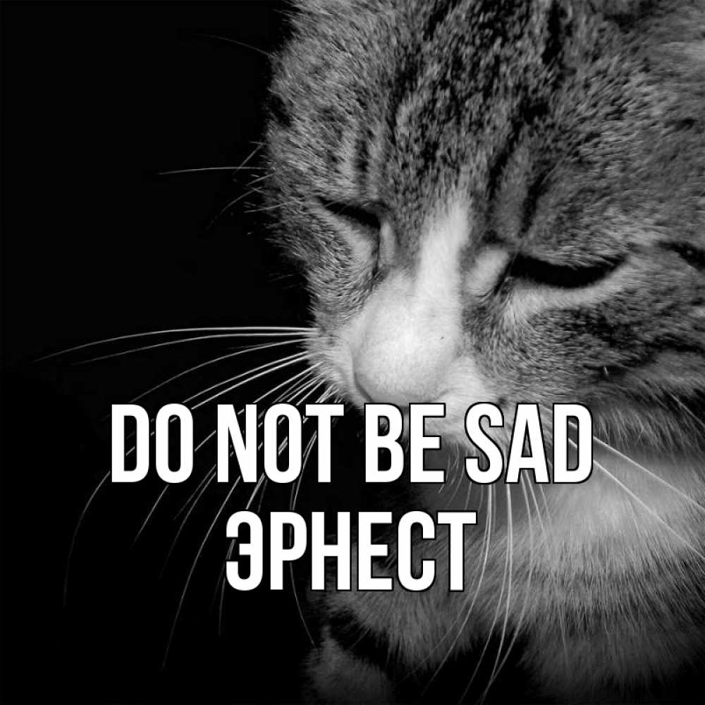 Greetings card с именем, Эрнест Do not be sad грустный котик Greetings with text for free download 