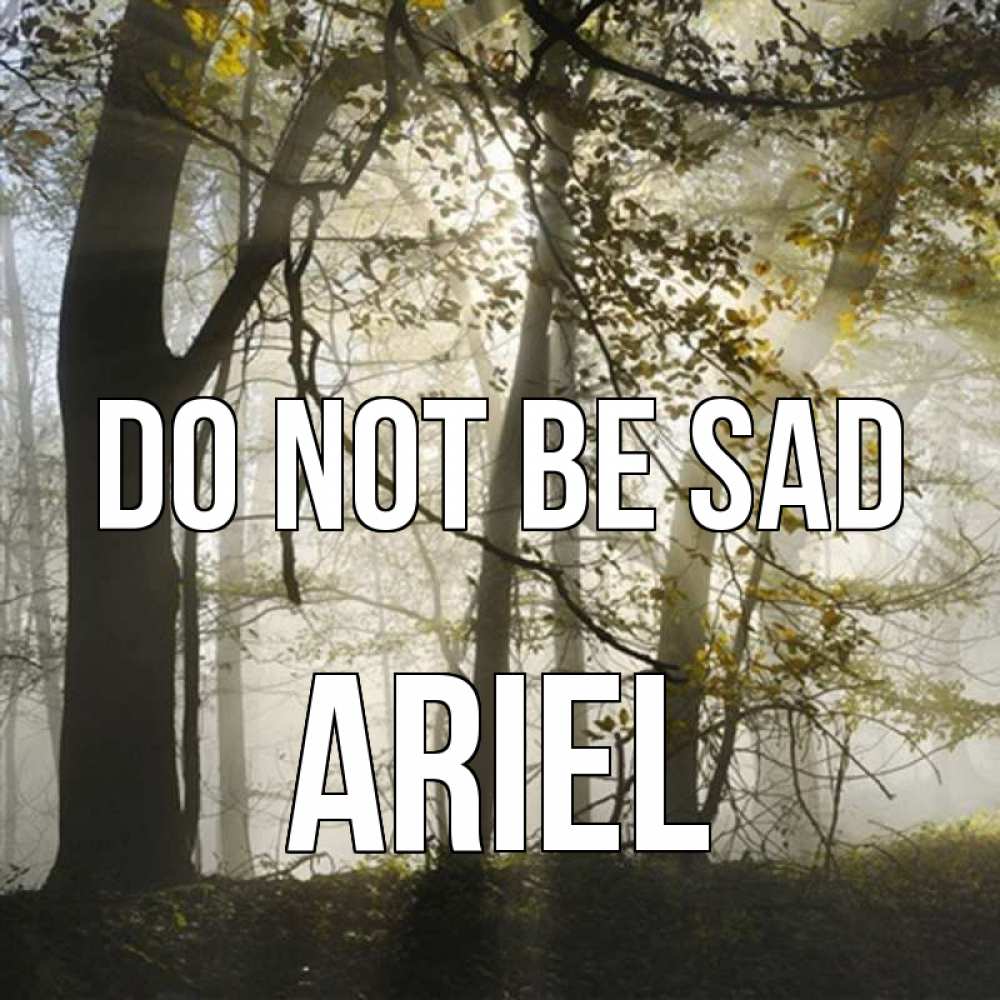 Greetings card с именем, Ariel Do not be sad лес и свет Greetings with text for free download 