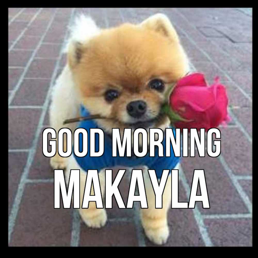 Greetings card с именем, Makayla Good morning роза в зубах Greetings with text for free download 