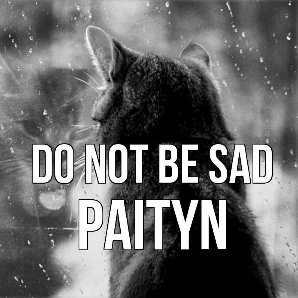 Greetings card с именем, Paityn Do not be sad отражение кота 1 Greetings with text for free download 