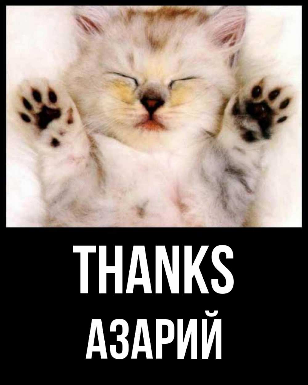 Greetings card с именем, Азарий Thanks маленький котенок Greetings with text for free download 