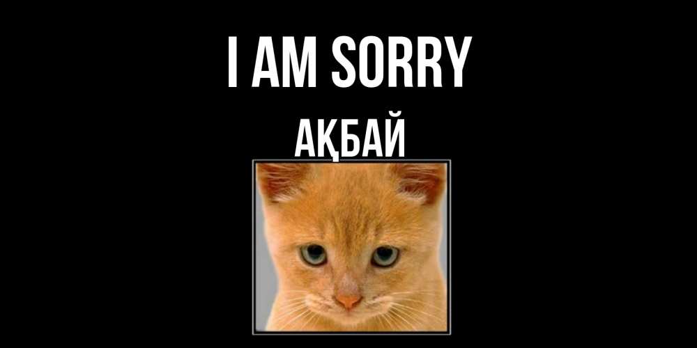 Greetings card с именем, Ақбай I am sorry рыжий грустный кот просит прощения Greetings with text for free download 