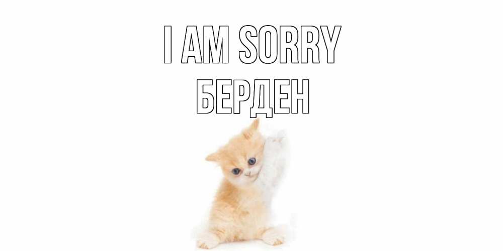 Greetings card с именем, Берден I am sorry кот Greetings with text for free download 