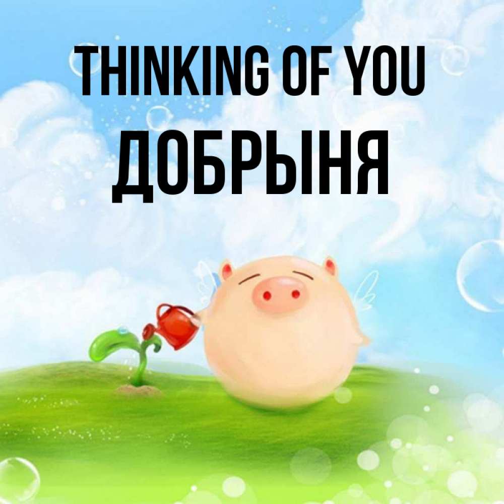 Greetings card с именем, Добрыня Thinking of you позитивная свинюшка Greetings with text for free download 