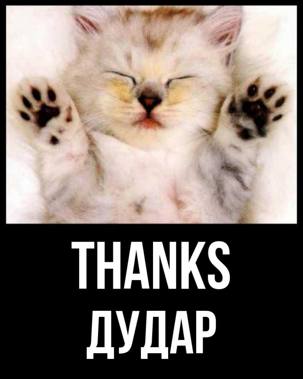 Greetings card с именем, Дудар Thanks маленький котенок Greetings with text for free download 