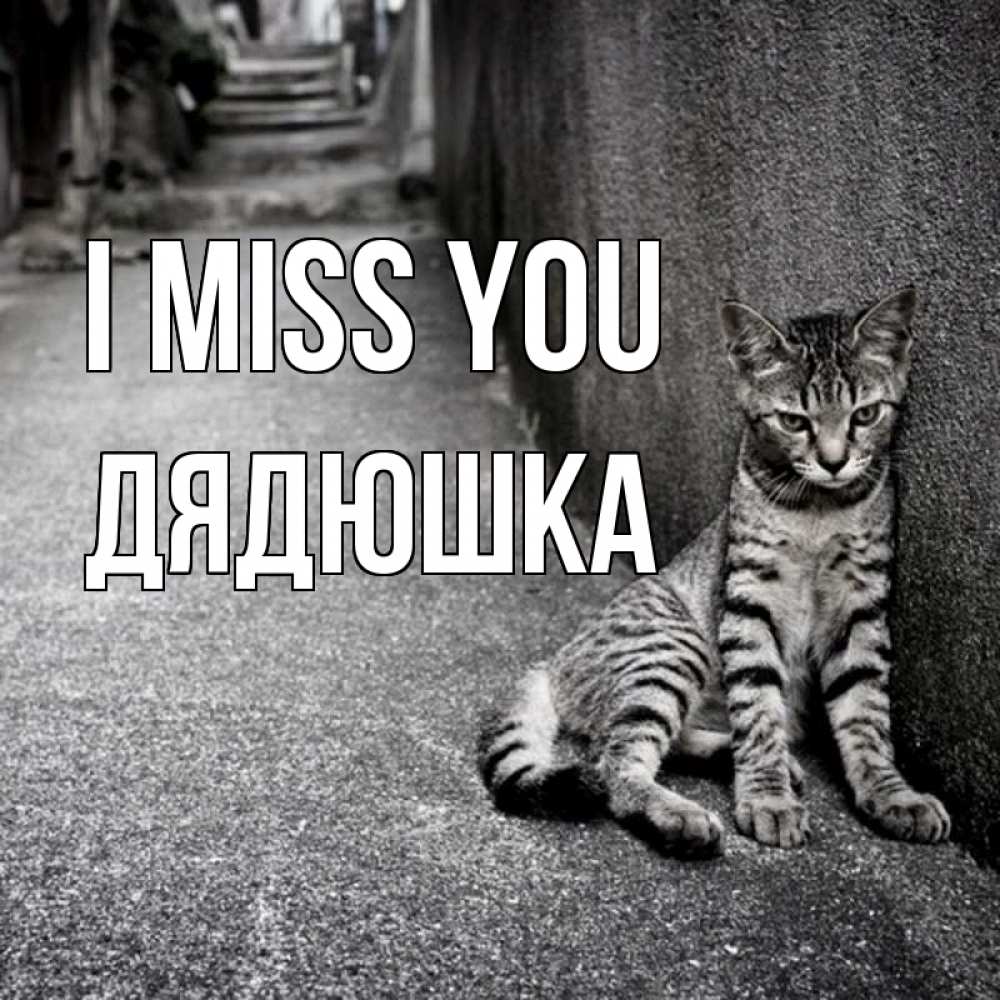 Greetings card с именем, Дядюшка I miss you одиноко котику Greetings with text for free download 