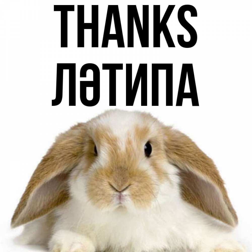 Greetings card с именем, ЛӘТИПА Thanks коричнево белый заяц Greetings with text for free download 