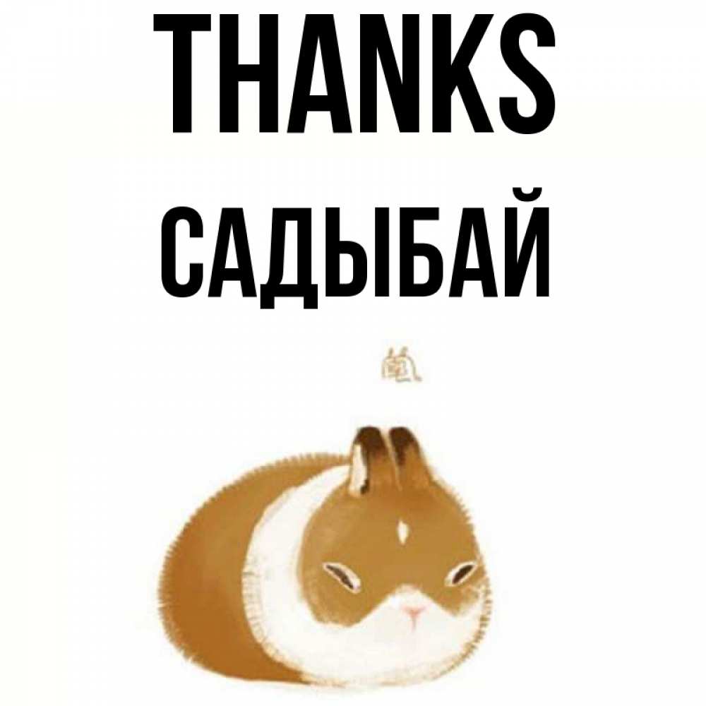 Greetings card с именем, САДЫБАЙ Thanks коричнево белый домашний питомец Greetings with text for free download 