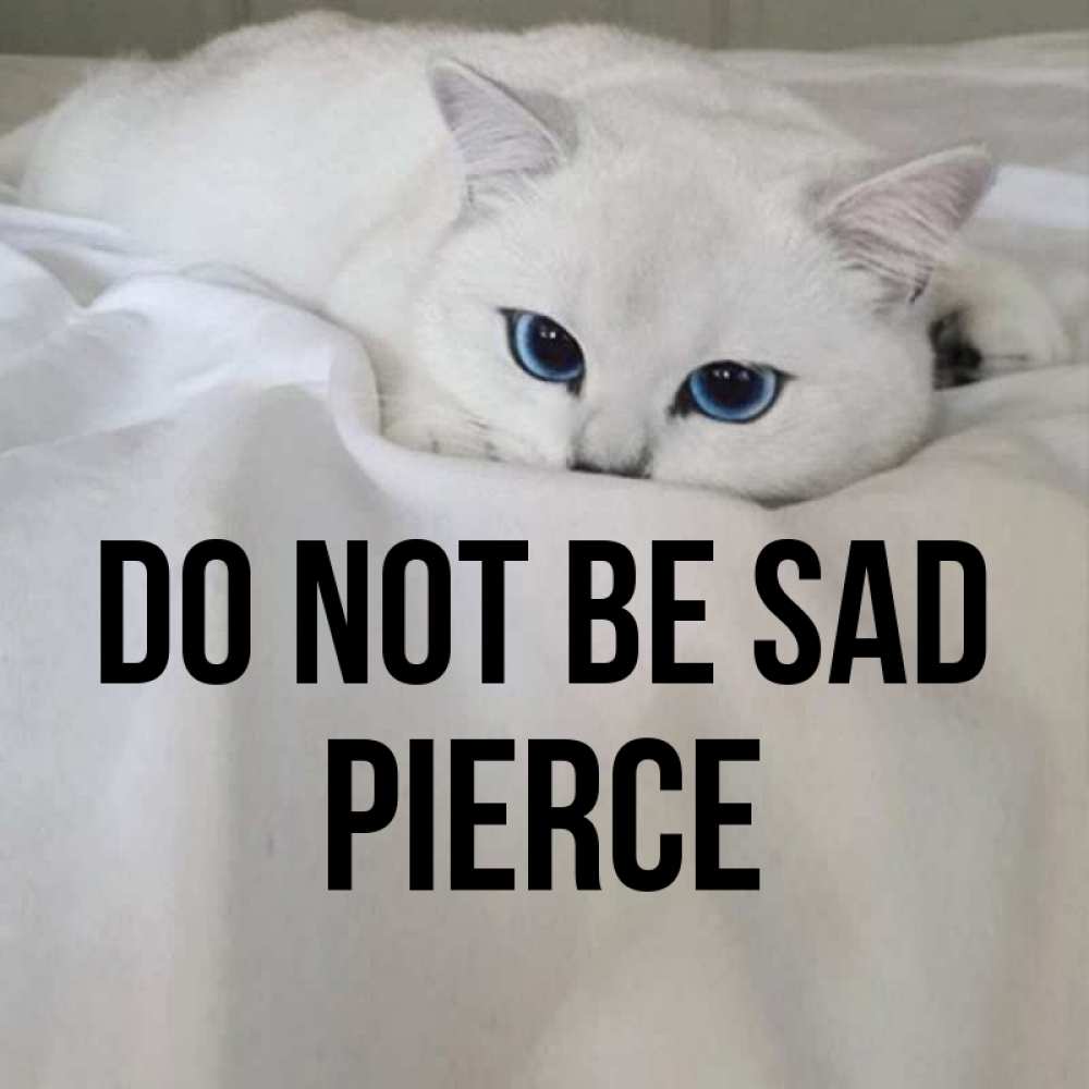 Greetings card с именем, Pierce Do not be sad Голубоглазая кошка Greetings with text for free download 